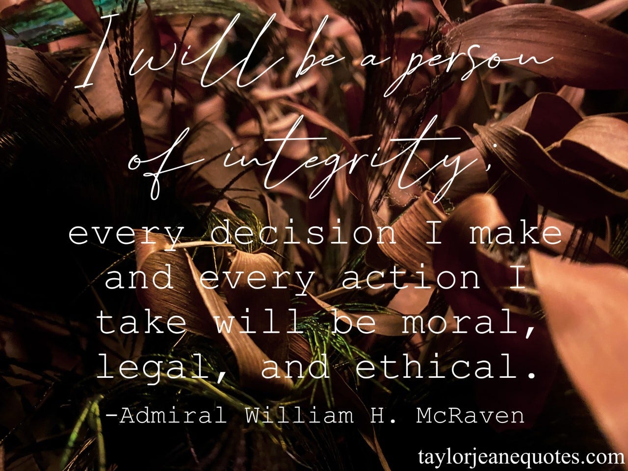 taylor jeane, taylor wilson, taylor jeane quotes, quotes, quote of the day, quote of the day subscription, quote of the day email subscription, admiral william h mcraven, admiral william h mcraven quotes, the hero code, the hero code quotes, honor quotes, veterans day quotes, memorial day quotes, integrity quotes, morals quotes, do the right thing quotes, make good choices quotes, honesty quotes, life quotes