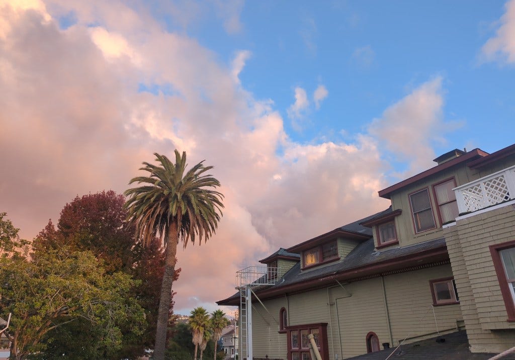 A shot of the pink sunset clouds over the Lighthaven venue. There's trees, including a big palm tree, next to an elaborate Victorian-style building.