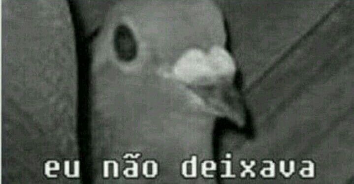 Memes - eu no meio de briga - Wattpad