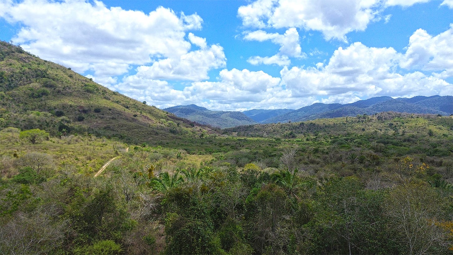 Part of the Camaruru/Paraguassu Indigenous Territory, which was illegally occupied by cattle ranching for decades. This drastically changed the territory's Atlantic Forest vegetation and its soil. Image by Karla Mendes/Mongabay.