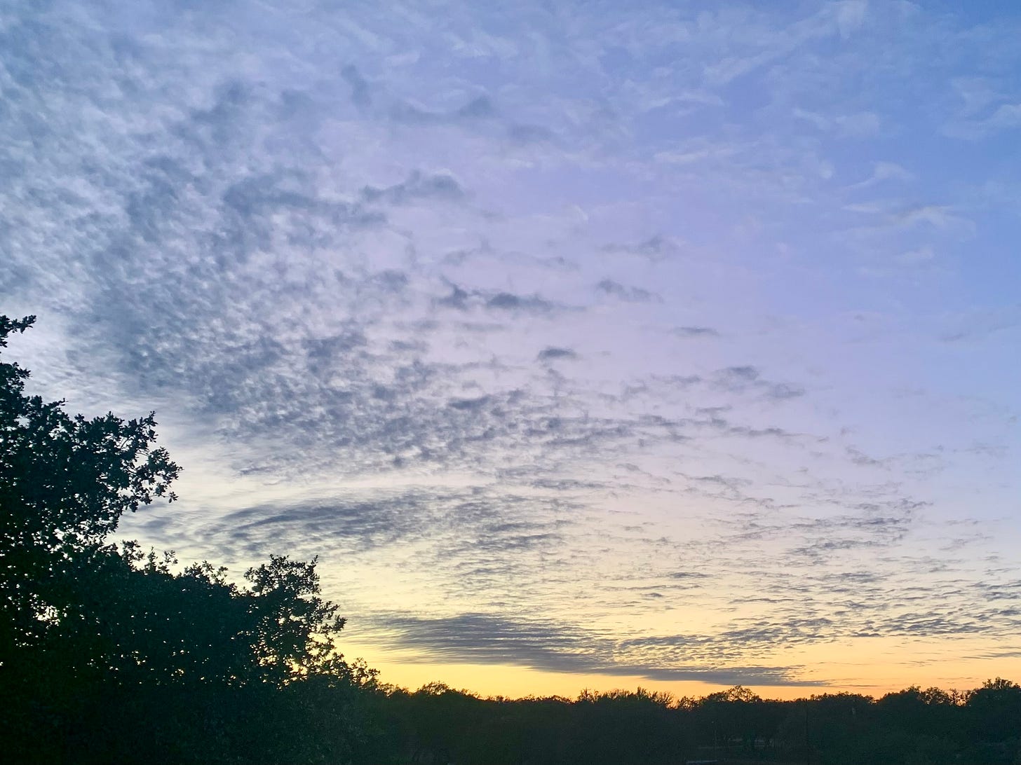 Image of sunset over trees with a whister of clouds.