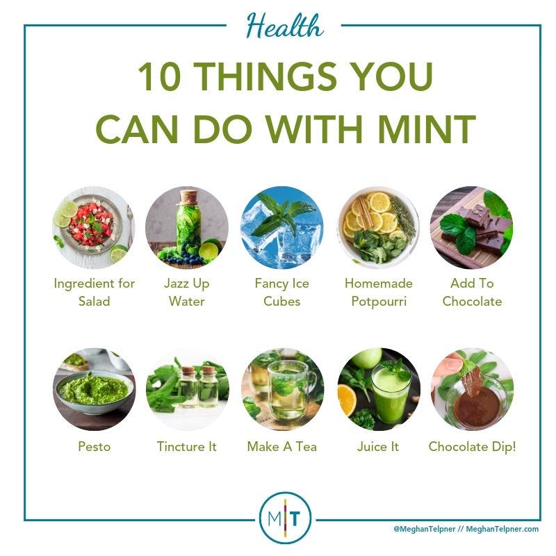 10 Amazing Things You Can Do With Mint - by Meghan Telpner