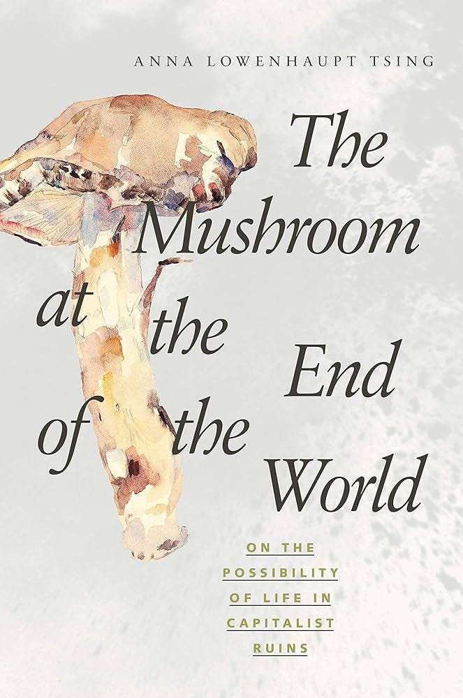 The Mushroom at the End of the World: On the Possibility of Life in  Capitalist Ruins: Tsing, Anna Lowenhaupt: 9780691162751: Amazon.com: Books