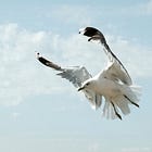 Breaking Up With Fear and Conformity