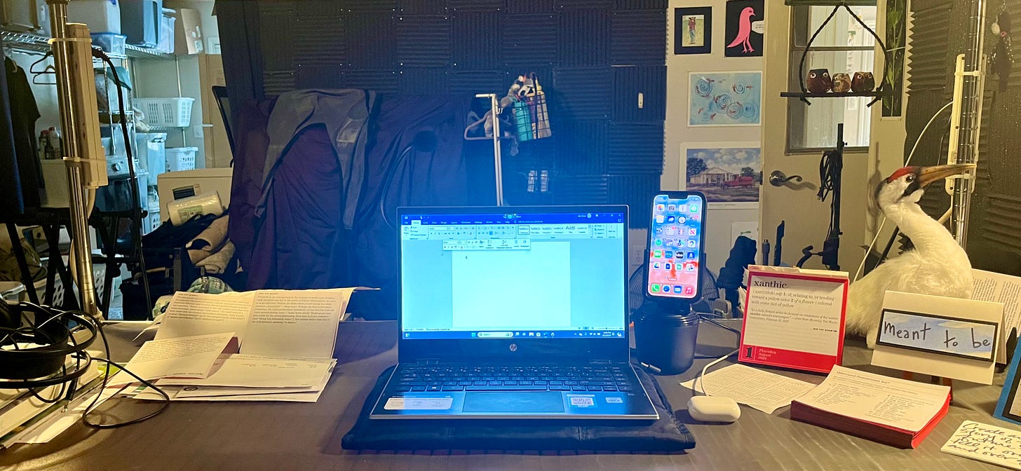 A PC laptop open to a blank Word document sits in the center of a desk with a dark gray plastic surface. To the left of the laptop is a loose stack of papers. To the right is an illuminated iPhone on a stand, a daily word calendar, a postcard that reads “meant to be,” and a stuffed white Whooping Crane with a brown bill and a crimson crown. The desk faces out to a somewhat cluttered garage with sporadic art on the walls including a bright pink bird. A PC laptop open to a blank Word document sits in the center of a desk with a dark gray plastic surface. To the left of the laptop is a loose stack of papers. To the right is an illuminated iPhone on a stand, a daily word calendar, a postcard that reads “meant to be,” and a stuffed white Whooping Crane with a brown bill and a crimson crown. The desk faces out to a somewhat cluttered garage with sporadic art on the walls including a bright pink bird.