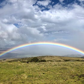 Spectrum — the rainbow gazer