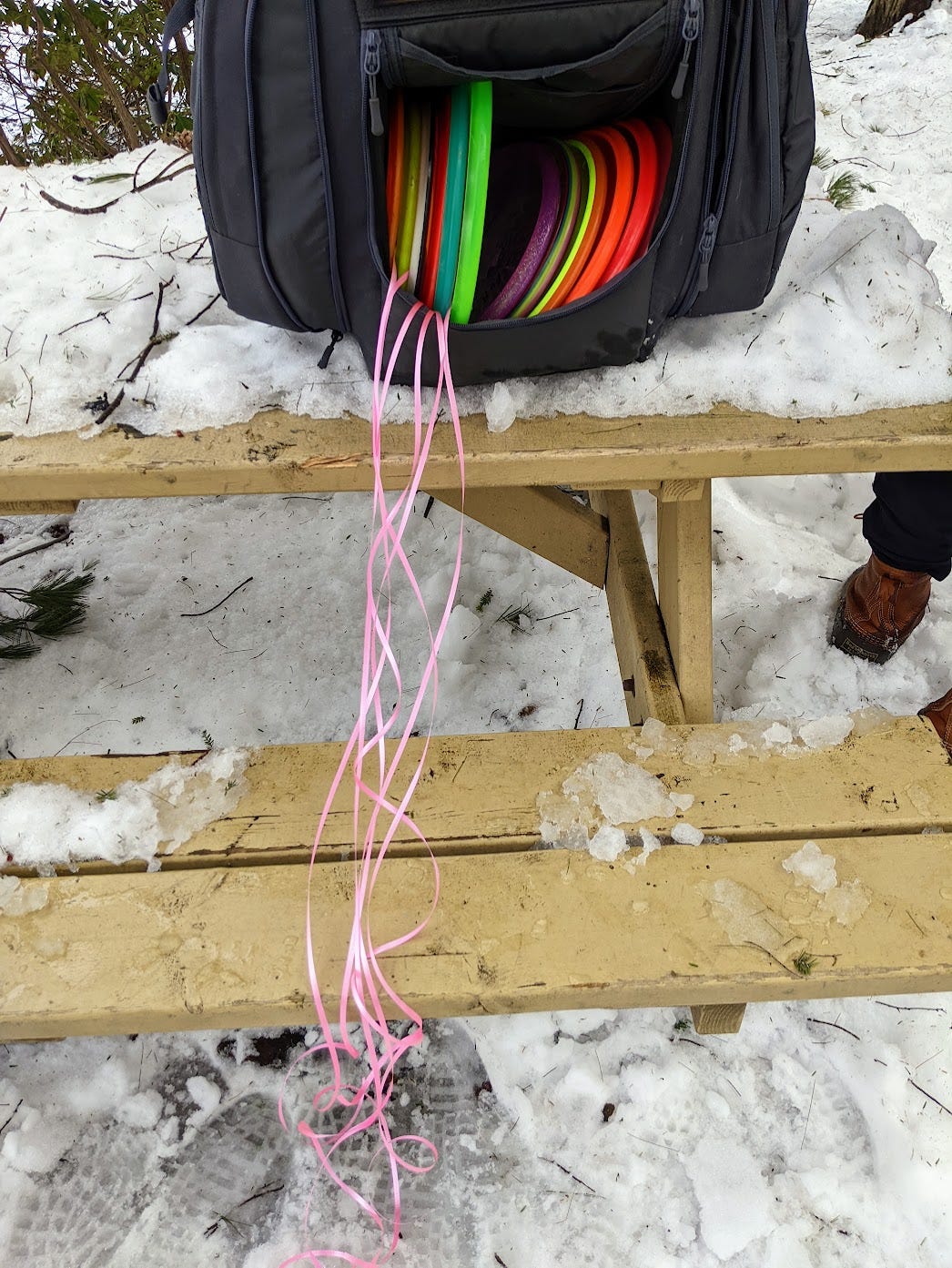 disc golf bag with ribboned discs