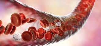 Researchers develop device for less invasive blood vessel repair procedures - Med-Tech Innovation Researchers develop device for less invasive blood vessel repair procedures - Med-Tech Innovation