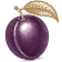 The Utah Plum