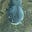 Southern Gentleman's avatar