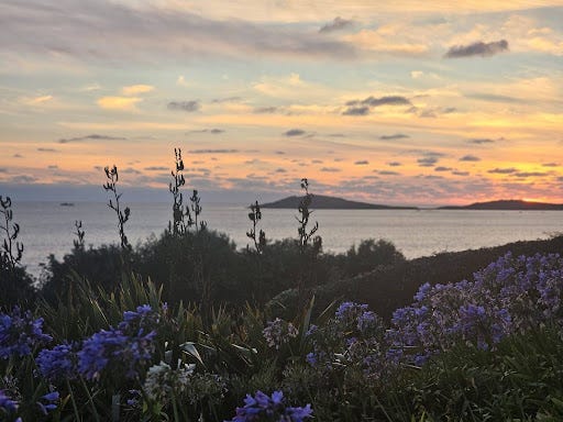 Greetings from the gorgeous Scilly Isles, where I have been...