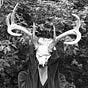 Atelier Marras's avatar