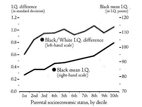 Race, Genes and I.Q.: The New Republic's 'Bell Curve' Excerpt | The New Republic Race, Genes and I.Q.: The New Republic's 'Bell Curve' Excerpt | The New Republic