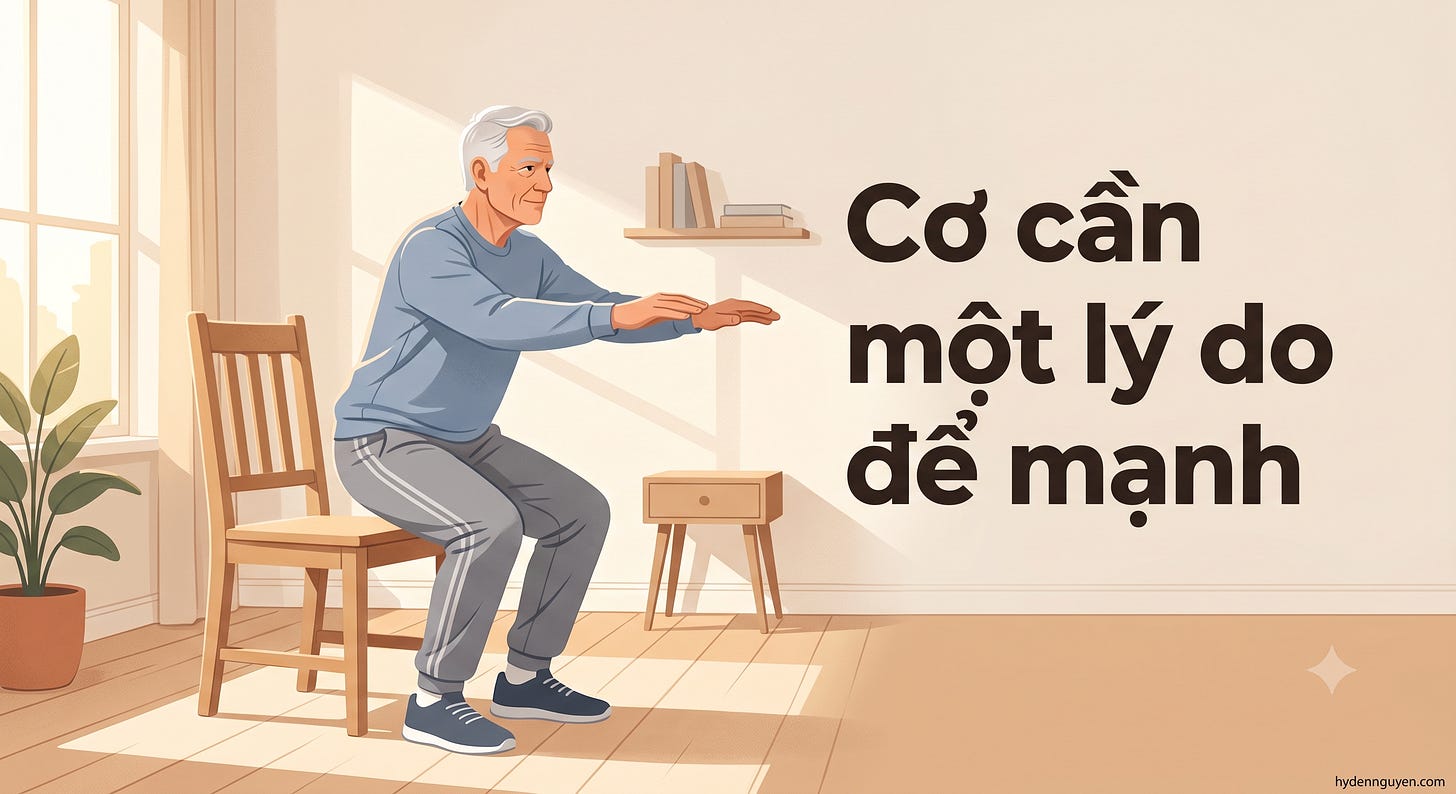 Minh hoạ một người lớn tuổi đang tập squat với ghế trong phòng khách sáng, kèm dòng chữ "Cơ cần một lý do để mạnh" — cách bắt đầu tập kháng lực không cần phòng gym.