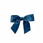 Ribbon Lady's avatar