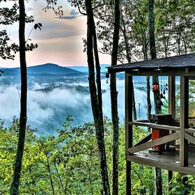 A Mountain Roadtrip, Beekeeping, and Track Rock Gap