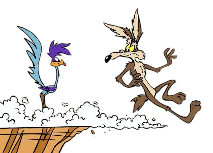 Wile E Coyote skids off a cliff, but doesn't fall because he hasn't realised that there's no ground beneath his feet Wile E Coyote skids off a cliff, but doesn't fall because he hasn't realised that there's no ground beneath his feet
