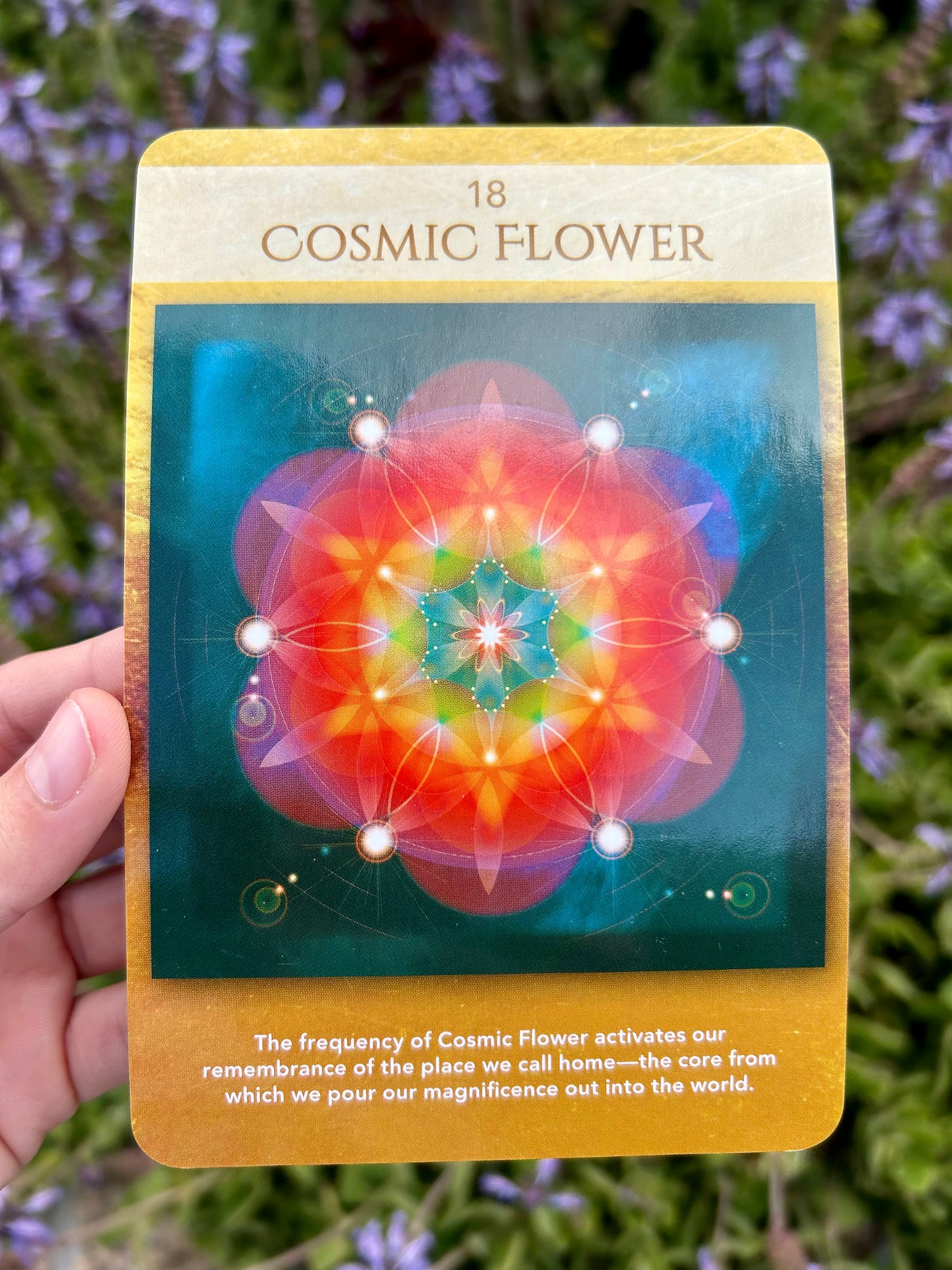 18 - Cosmic Flower - Sacred Geometry Activations Oracle