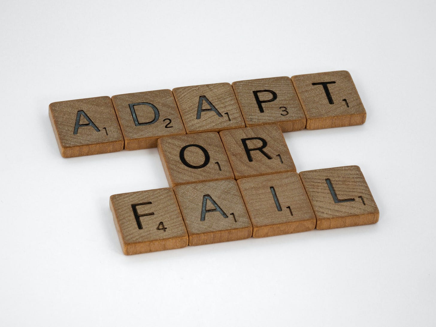 Embracing Change: A CTO's Perspective on AI, Adaptability, and the Future of Work