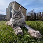 LilRoo's avatar