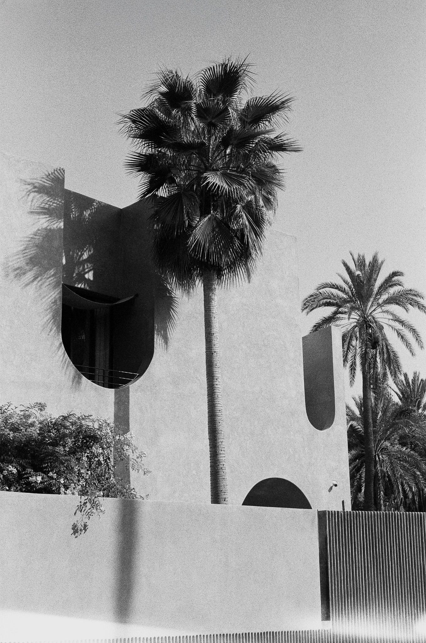 Black-and-white photograph of a modern Marrakesh building with curved cut-out windows, a tall palm tree casting a strong shadow across the facade, and a clear sky overhead.