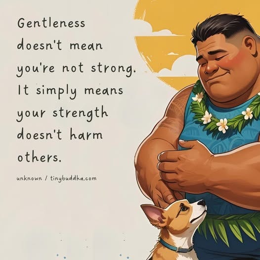 May be an image of text that says 'Gentleness doesn't mean ၅ you're not strong. It simply means your strength doesn't harm others. unknown nown/tinybuddha.com tinybuddha.com'