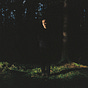 Vetle Nærø's avatar