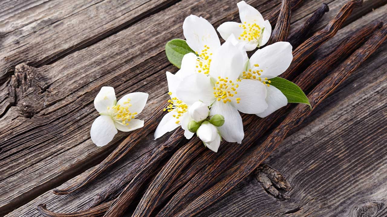 The Benefits of Vanilla | Dure The Benefits of Vanilla | Dure