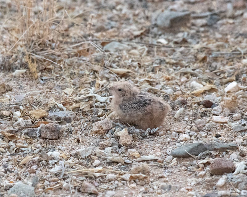 20200621_LN-70.jpg 20200621_LN-70.jpg