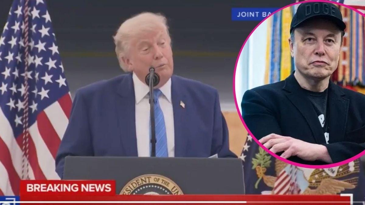 image of trump/elon musk image of trump/elon musk
