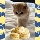 That Time I Saw An Anaheim Angel Get A Parking Lot Blowjob! Tabs, Mon., March 18, 2024