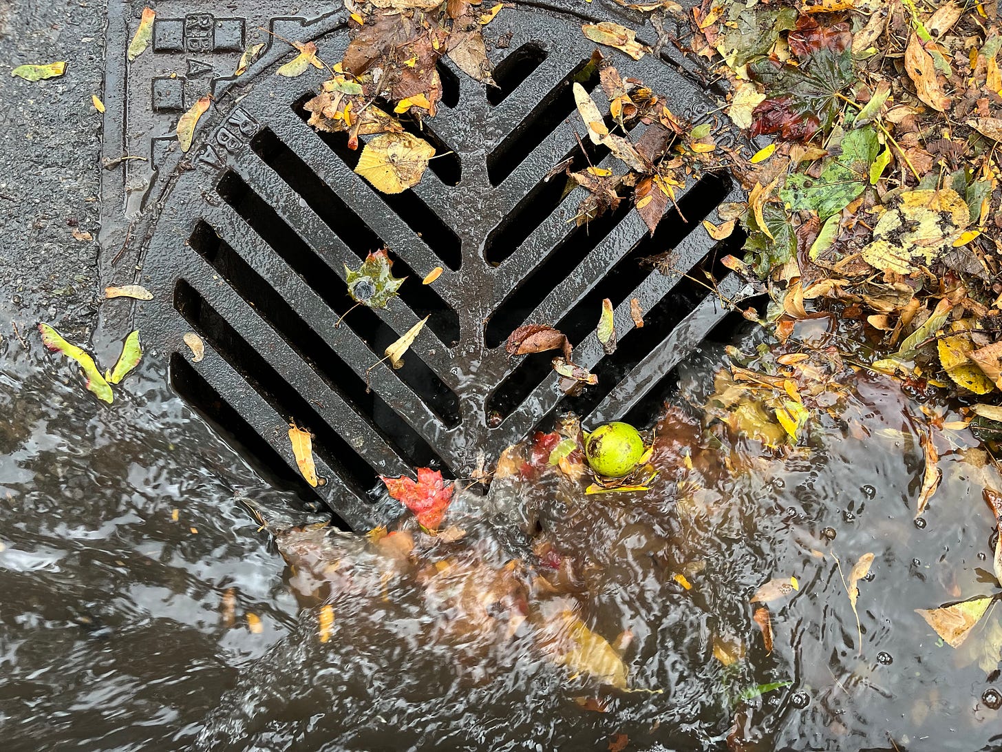Water rushes into a curbside sewer grate. 