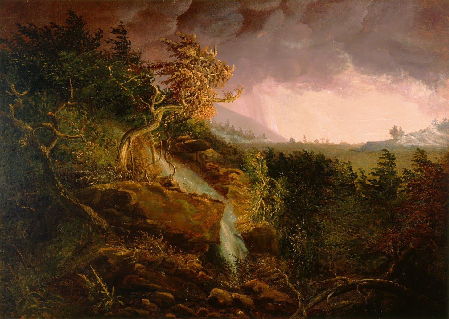 From the Collection: Thomas Cole's Storm in the Wilderness – Milwaukee Art  Museum Blog