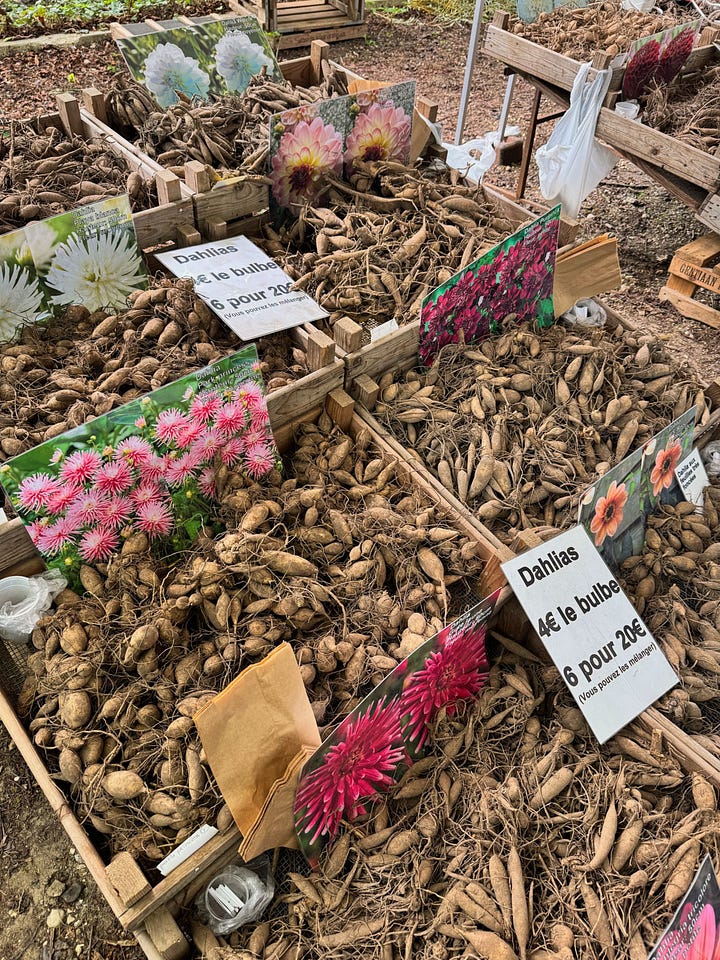 French plant fair