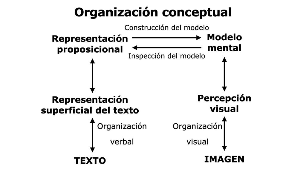 El aprendizaje multimedia (III): aprender es crear representaciones ...