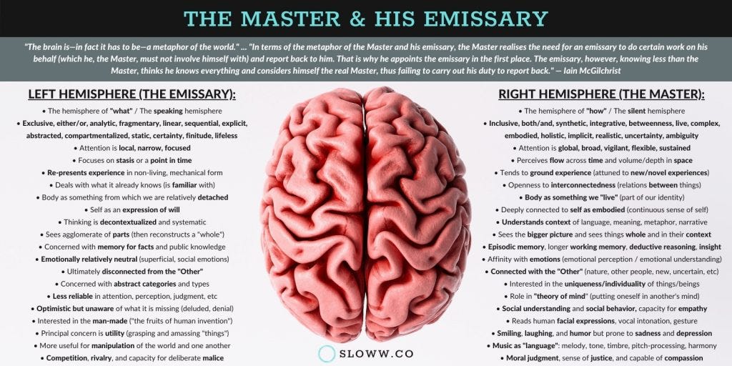 Left Brain & Right Brain: 20 Hemisphere Differences (+ Infographic) | Sloww