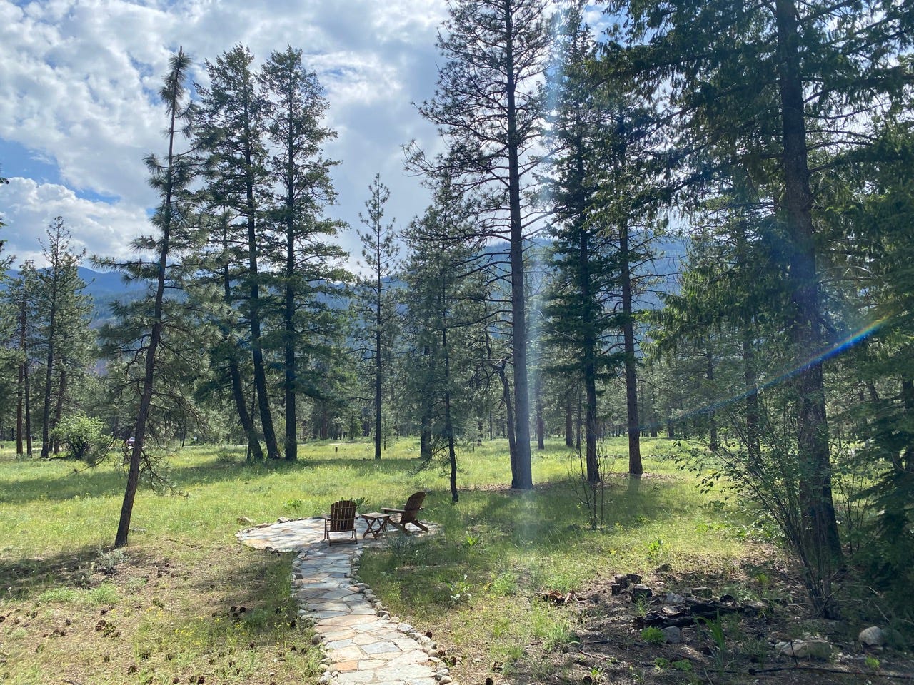Two adirondack chairs in a clearing in the woods, surrounded by pine trees.