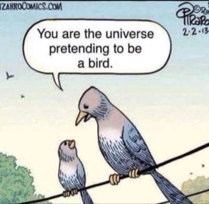You are the universe pretending to be a bird You are the universe pretending to be a bird