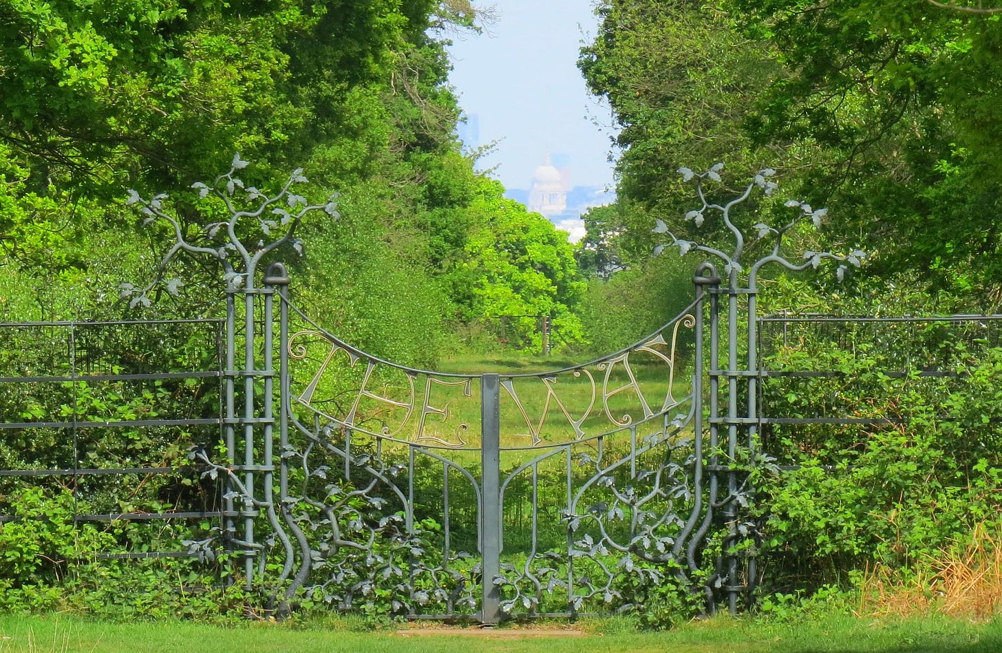 File:Richmond Park London View - the Way - 2020.JPG - Wikimedia Commons