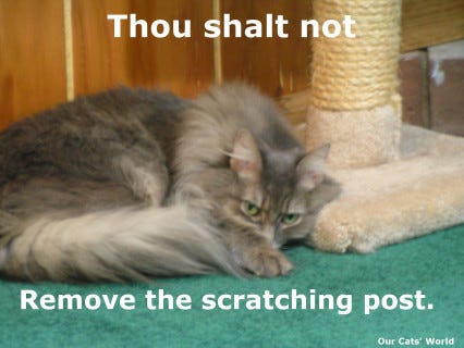 Kali Scratching Post Kali Scratching Post