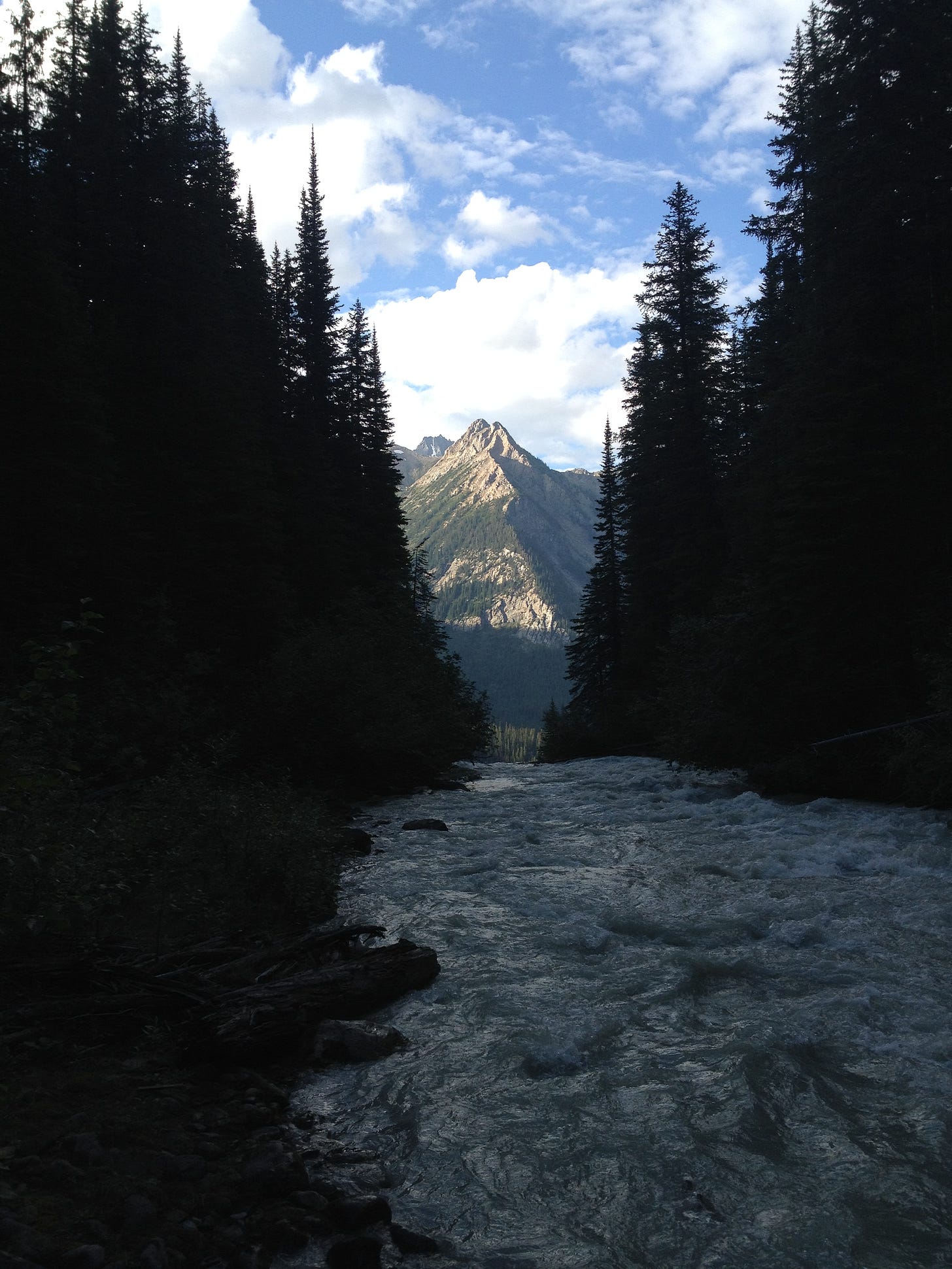 A creek runs to a waterfall with a mountain showing in the break between trees