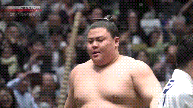 Sumo Stomp! | Tim Bissell | Substack