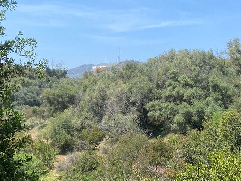 beautiful scenic photos of Griffith Park in Los Angeles, California