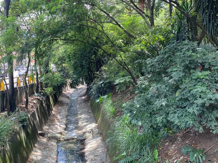 Vista de un corredor verde en Medellín