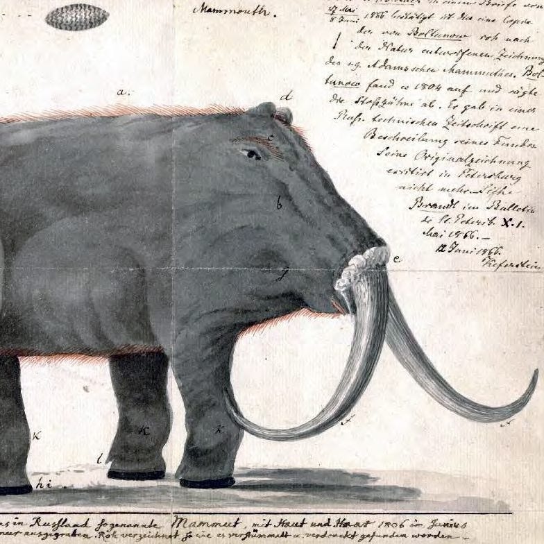 What's New in Animals & Plants