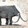 What's New in Animals & Plants