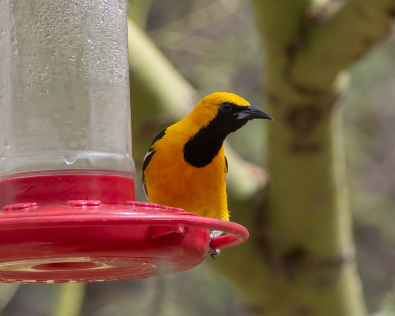 20250531-mby-Edit.jpg 20250531-mby-Edit.jpg