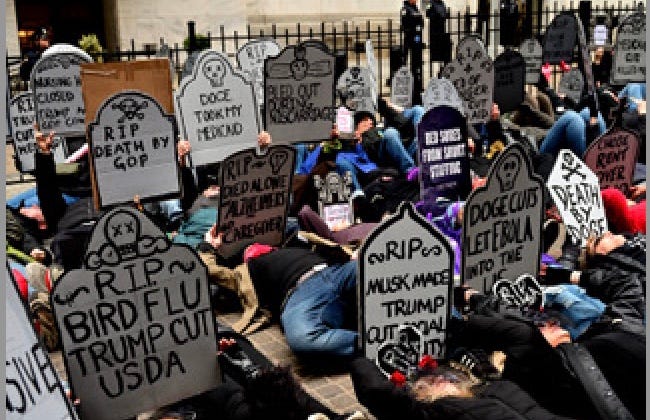 A group of people lying on the ground holding signs

AI-generated content may be incorrect.