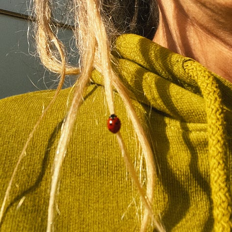 La seule manière dont les esprits m'ont parlé était à travers le message des coccinelles