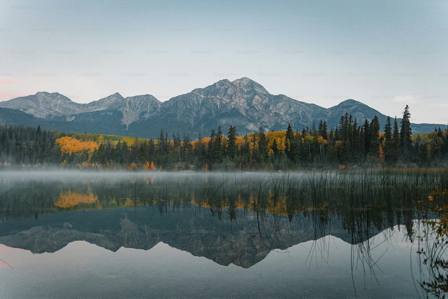 a lake surrounded by trees with mountains in the background a lake surrounded by trees with mountains in the background